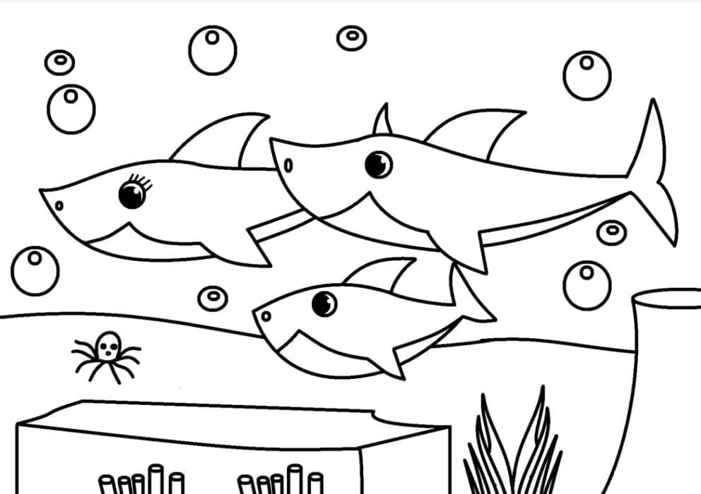 Leichter Baby Shark ausmalbilder