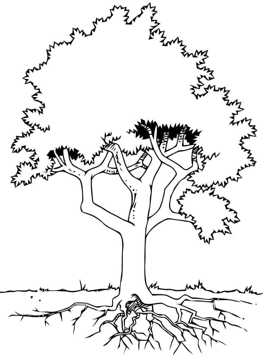 Leichter Baum ausmalbilder