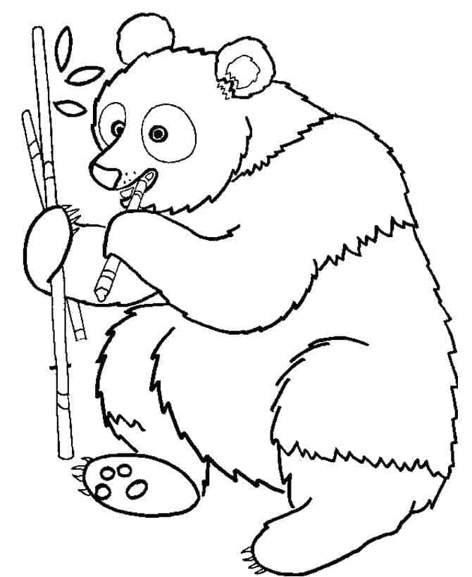 Leichter Panda ausmalbilder