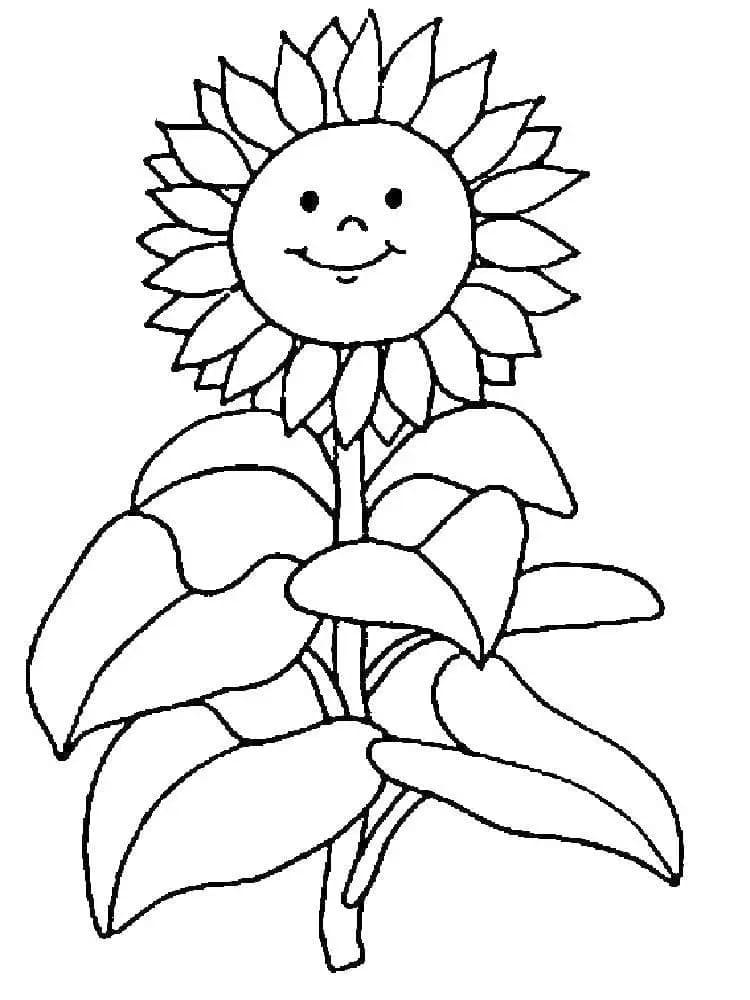 Liebliche Sonnenblume ausmalbilder