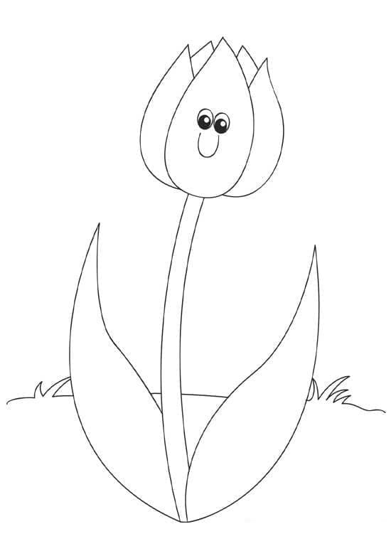 Liebliche Tulpe ausmalbilder