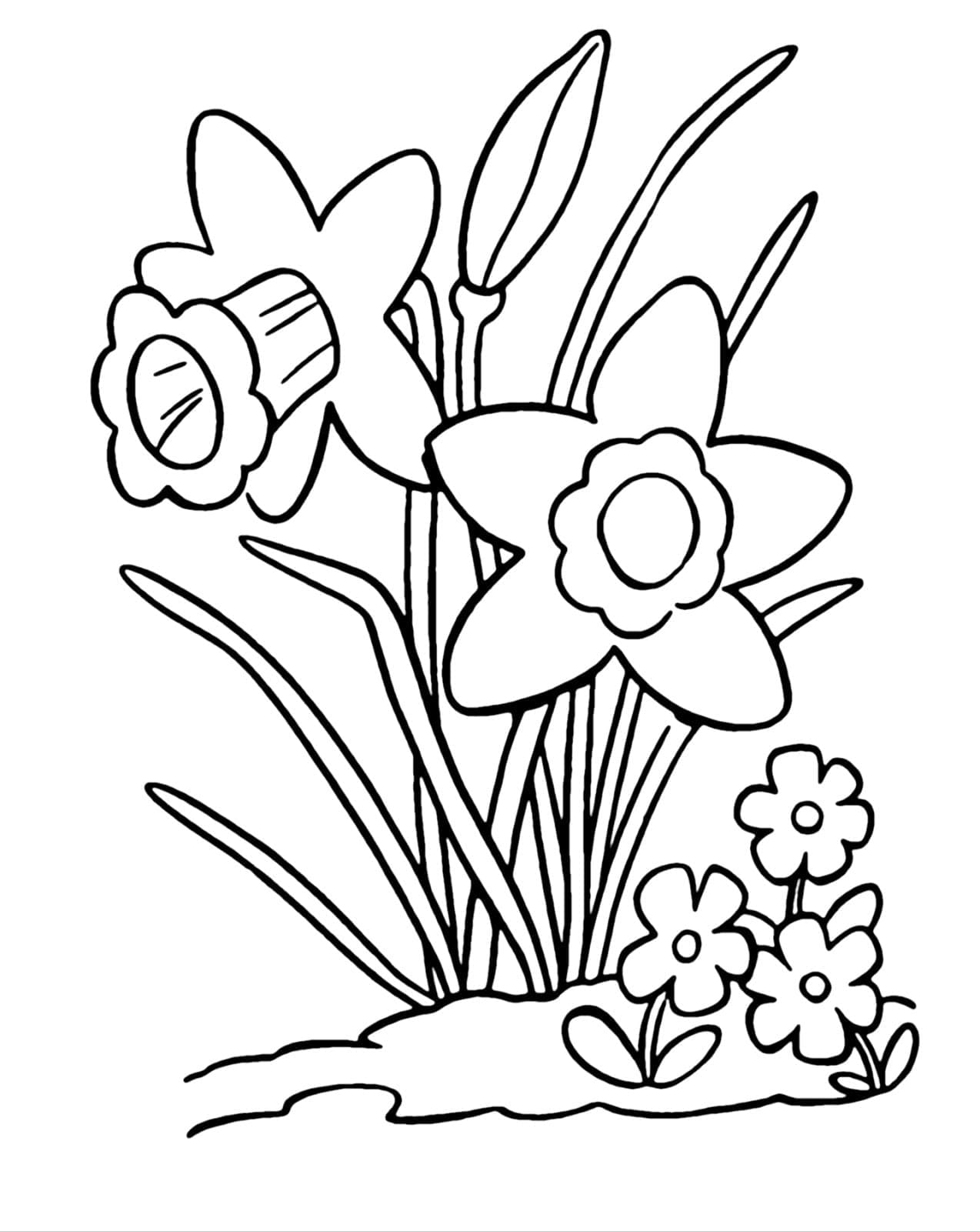 Narzissenblume ausmalbilder