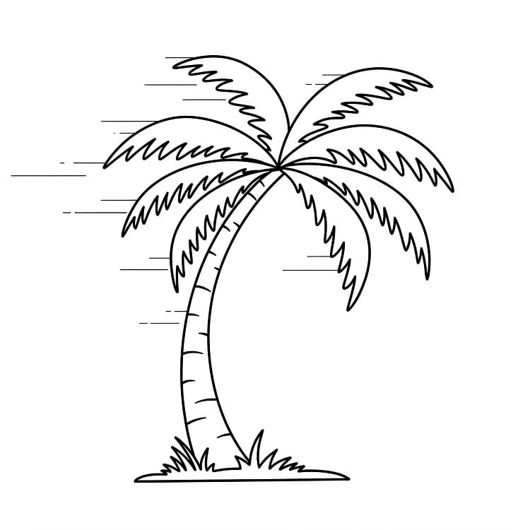 Palme druckfertig ausmalbilder