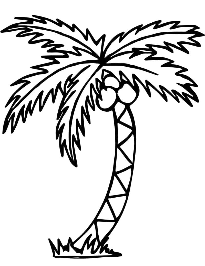 Palmenbild gratis ausmalbilder