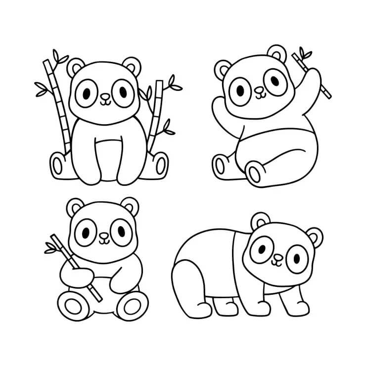 Panda Bild ausmalbilder