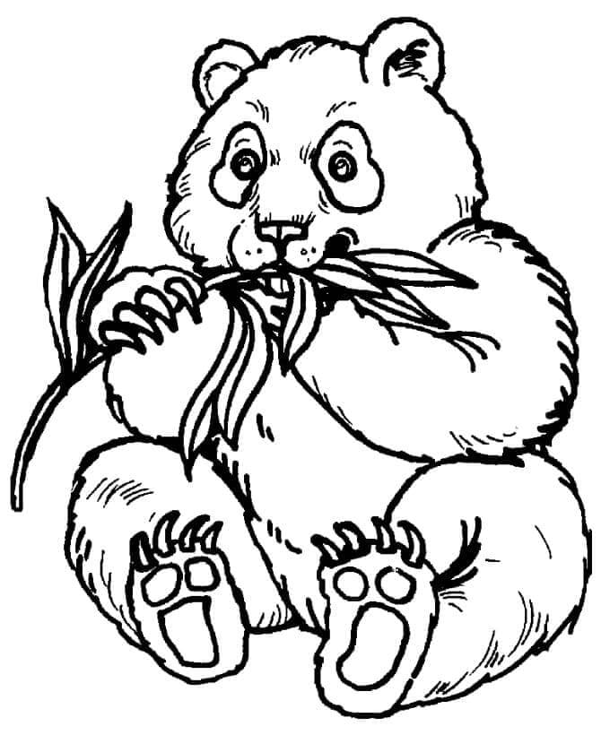 Panda Kostenlos Für Kinder ausmalbilder