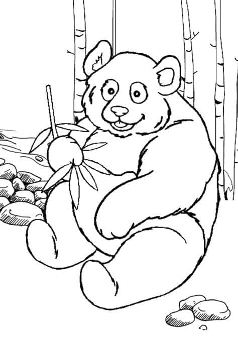 Panda in der Wildnis ausmalbilder