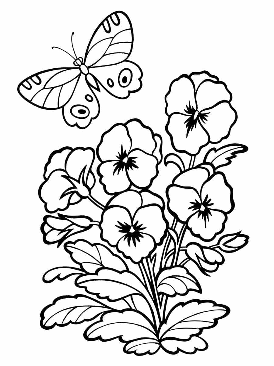 Perfekte Blume ausmalbilder