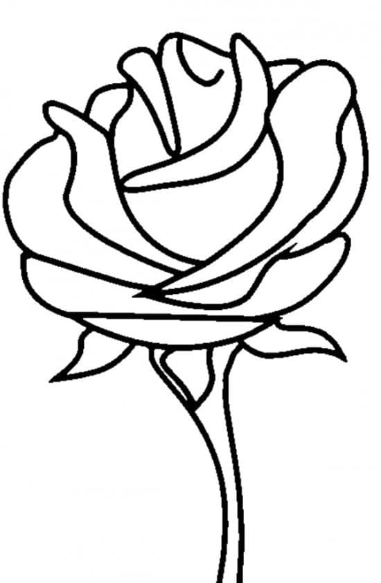 Perfekte Rose ausmalbilder