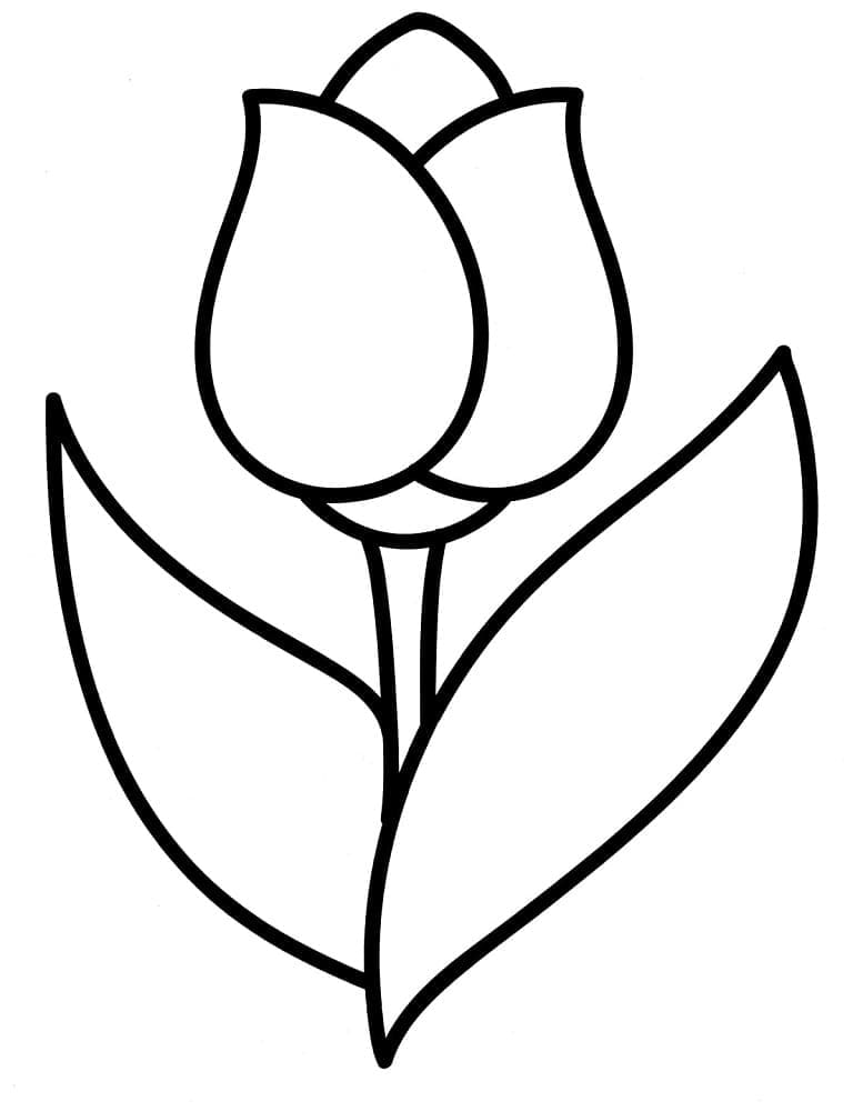 Perfekte Tulpe ausmalbilder