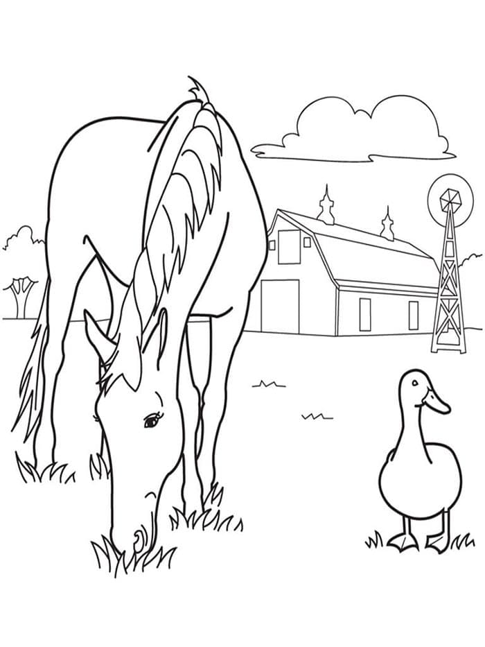 Pferd Druckbar ausmalbilder