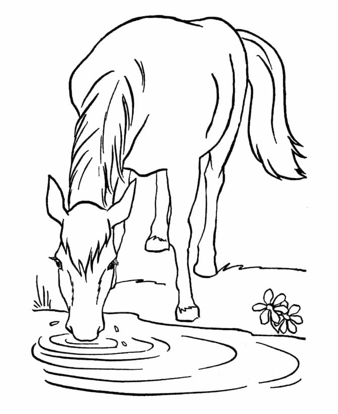 Pferd Drucken ausmalbilder