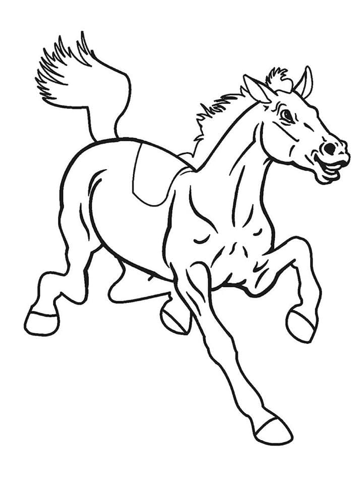 Pferd Für Kinder ausmalbilder