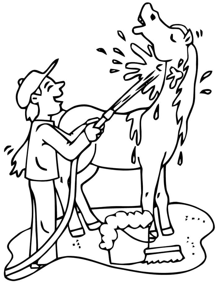 Pferd Zum Drucken ausmalbilder