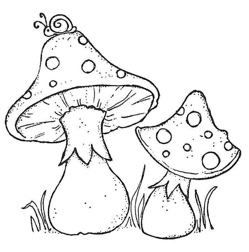 Pilz Bild ausmalbilder