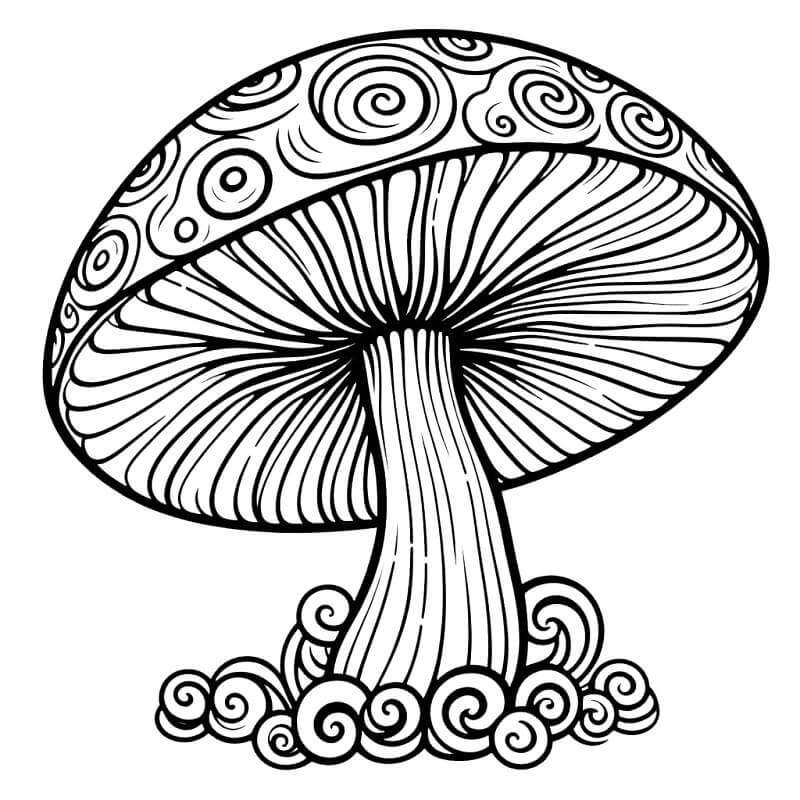 Pilz Malvorlage für Kinder ausmalbilder
