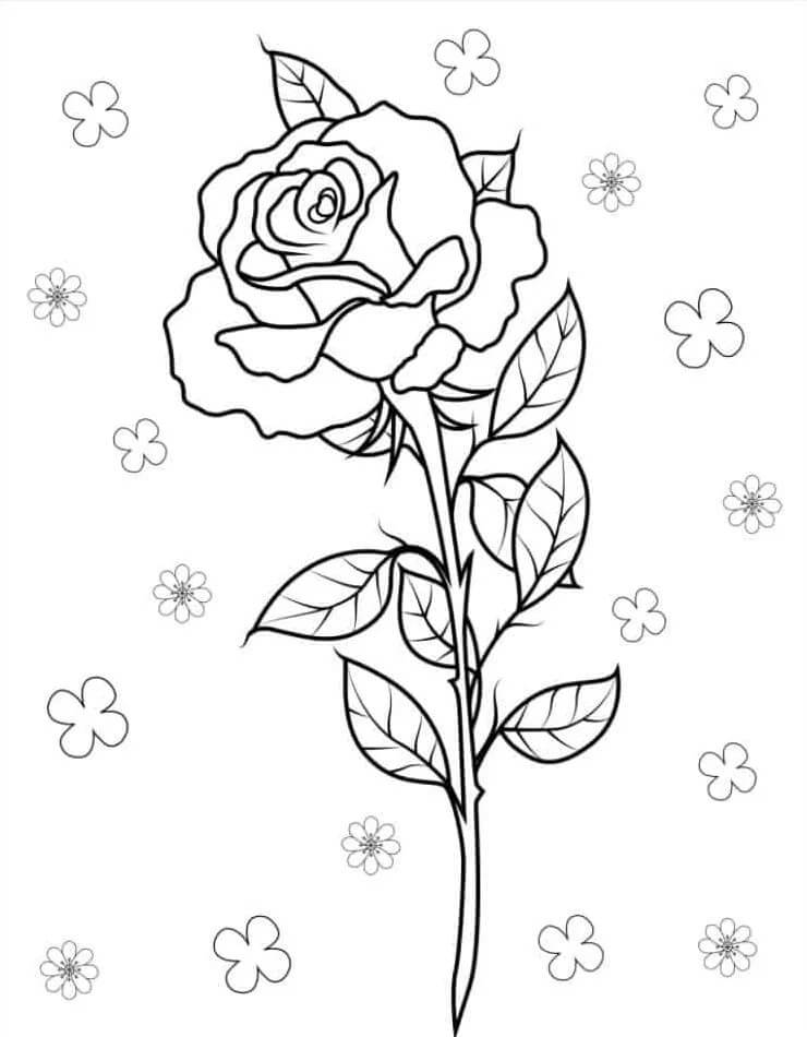 Rose für 4-jährige Kinder ausmalbilder