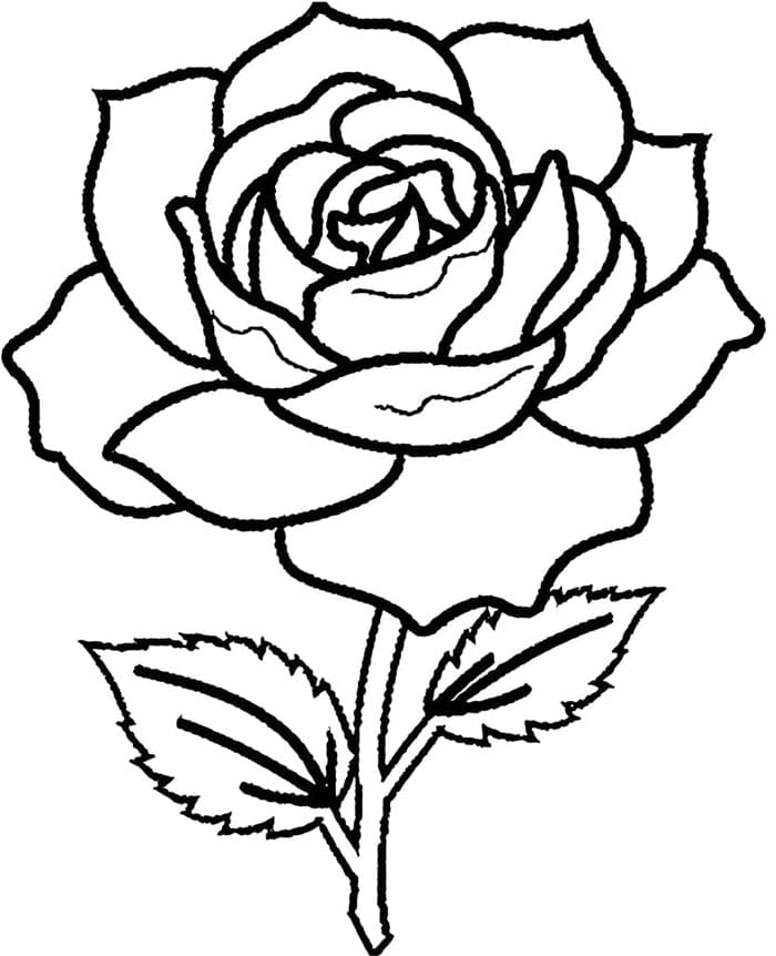 Rose kostenlos ausmalbilder