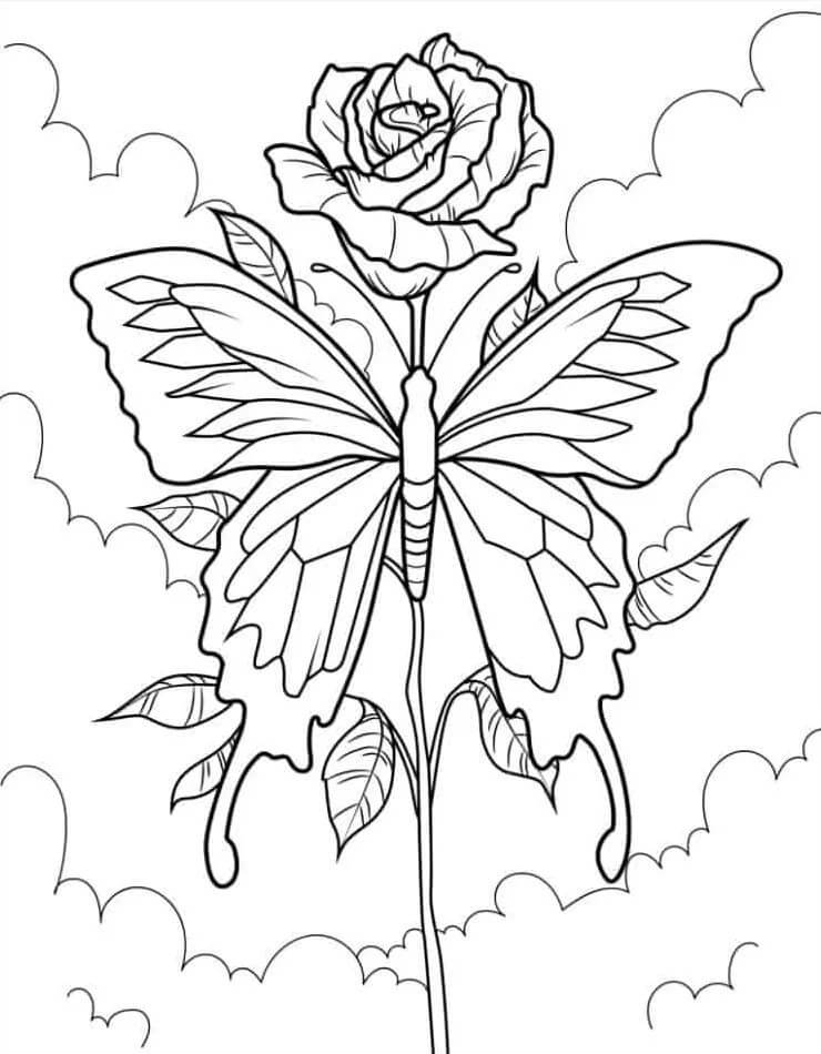 Rose ausmalbilder