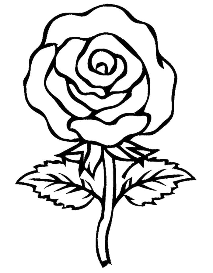 Rosenblume ausmalbilder