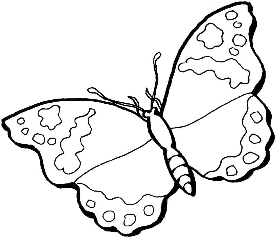 Schmetterling Druckbar Für Kinder ausmalbilder