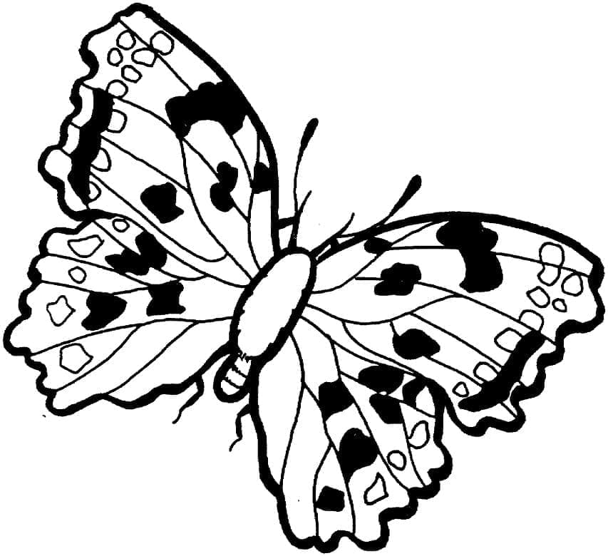 Schmetterling Druckbar ausmalbilder