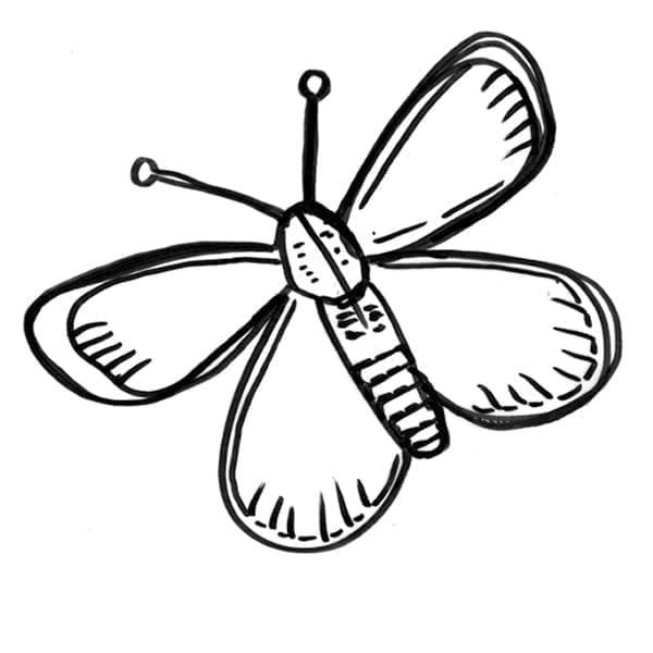 Schmetterling Gratis ausmalbilder