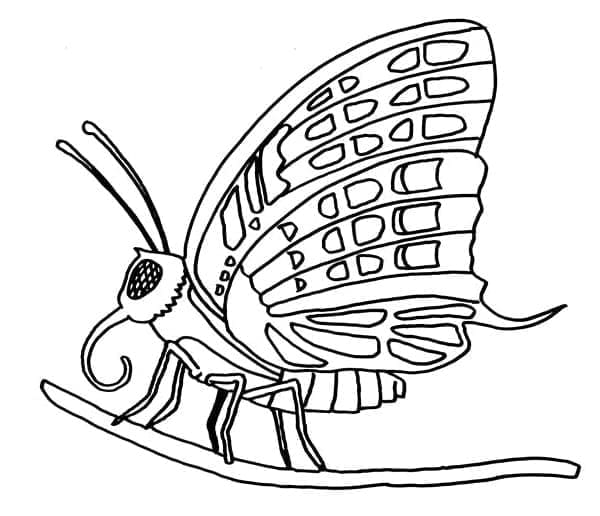 Schmetterling Kostenlos Druckbar ausmalbilder