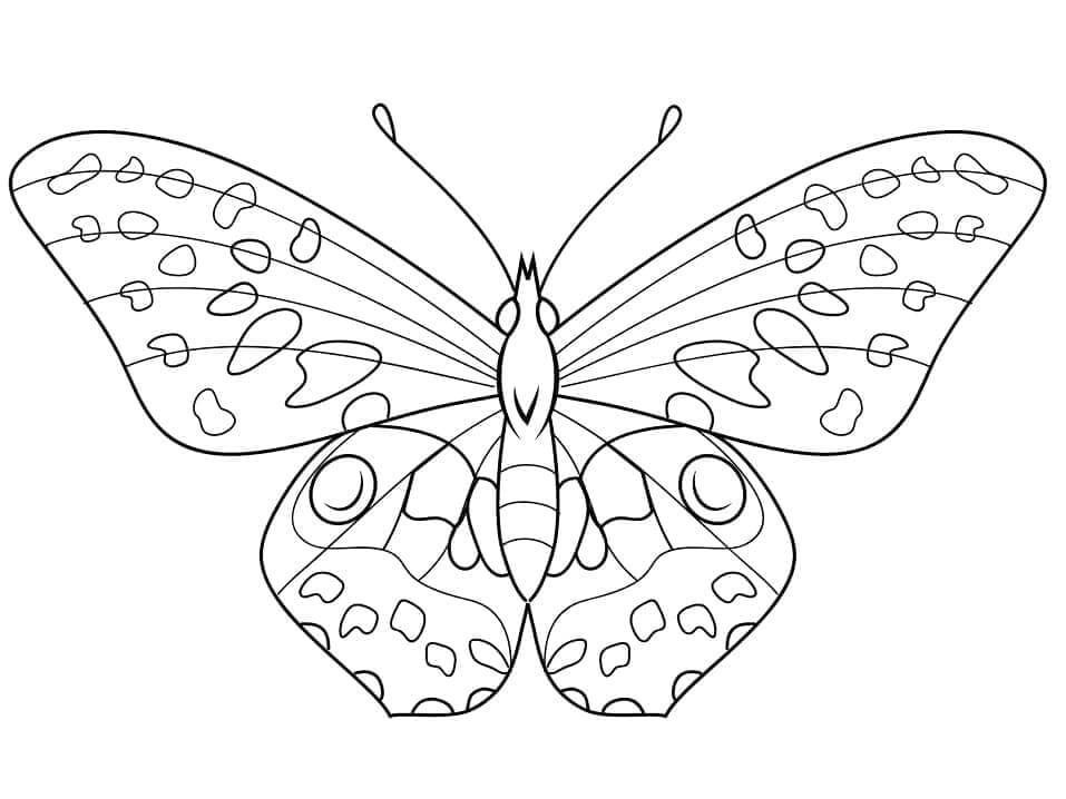 Schmetterling Kostenloses Bild ausmalbilder