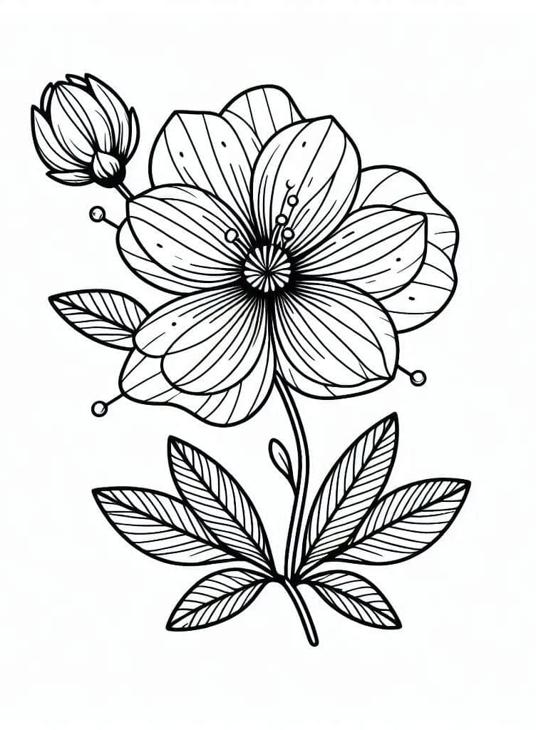 Sehr süße Blume ausmalbilder