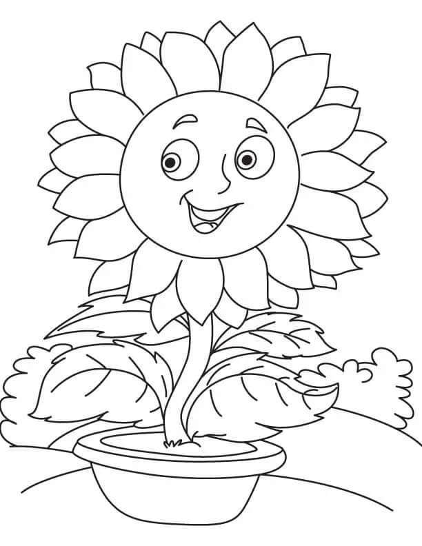 Sonnenblume Malvorlage für Kinder ausmalbilder