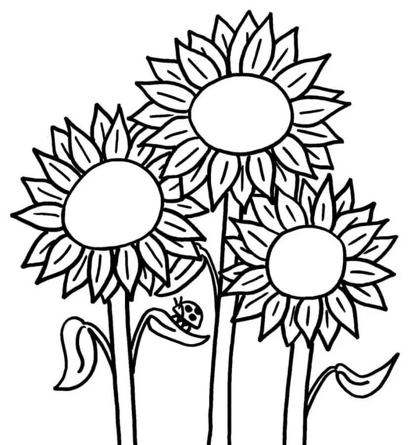 Sonnenblume für 6-jährige Kinder ausmalbilder