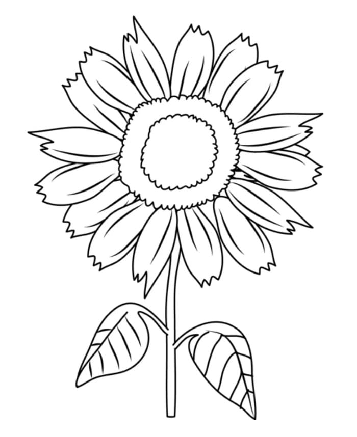 Sonnenblume für Kinder ausmalbilder