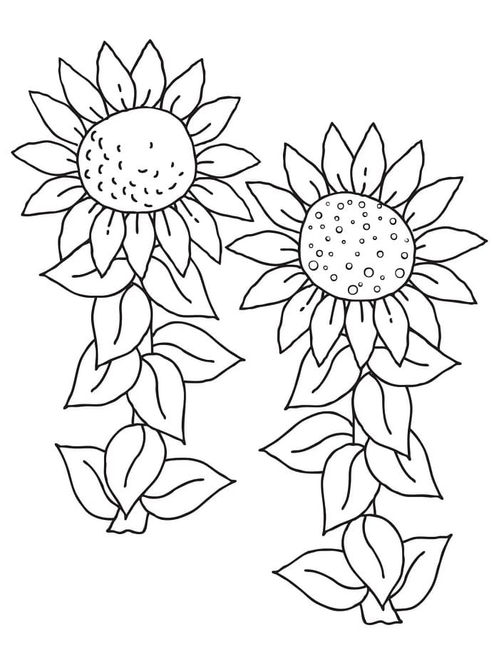 Sonnenblume zum Drucken ausmalbilder
