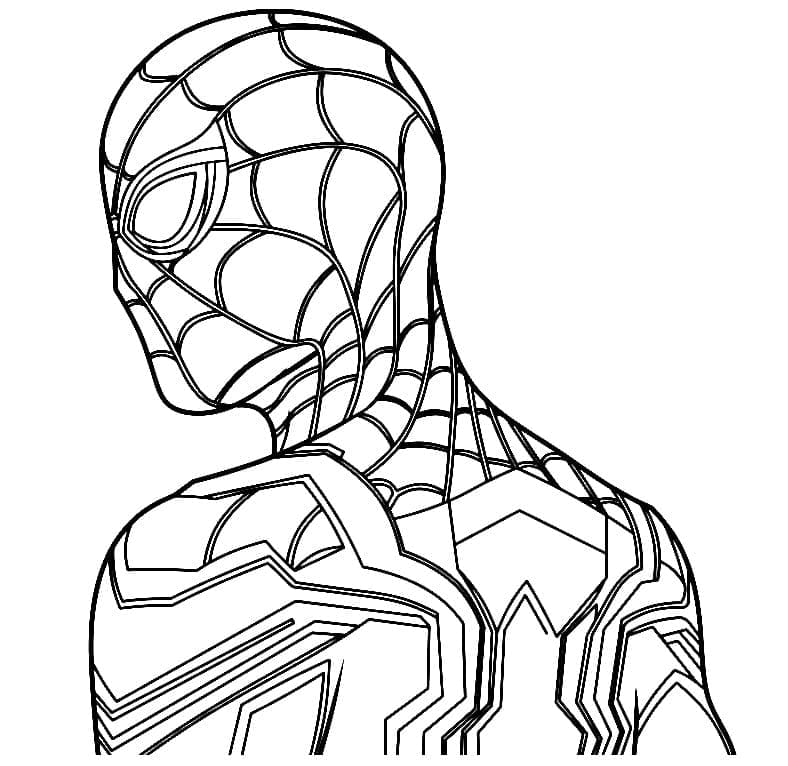 Spiderman (2) ausmalbilder