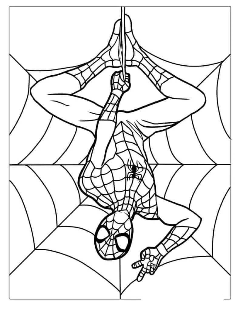 Spiderman Malvorlage für Kinder ausmalbilder