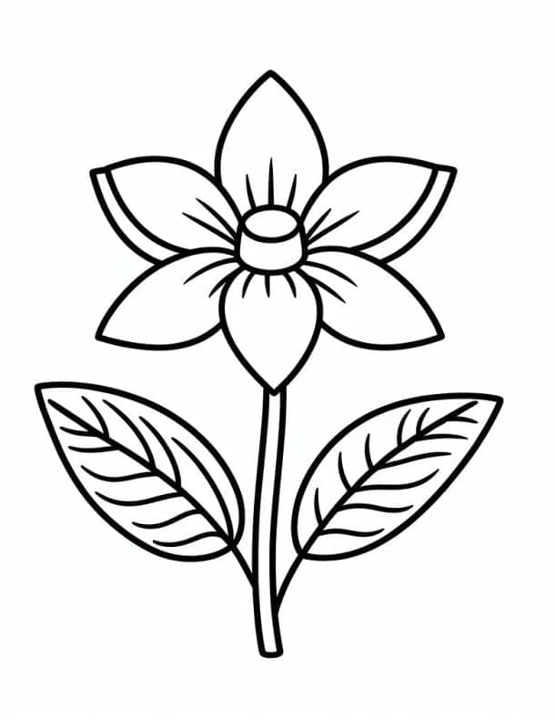 Blumen ausmalbilder