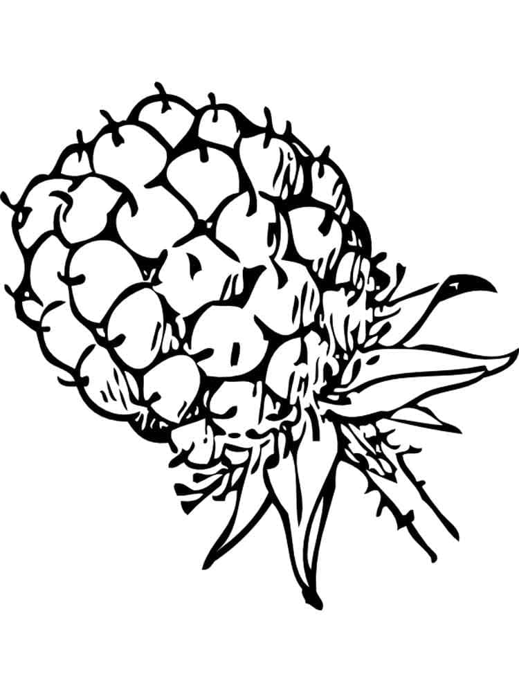Süße Brombeere ausmalbilder