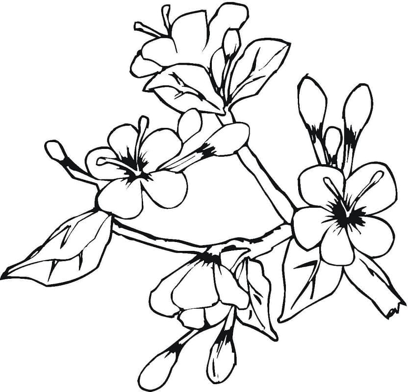 Süßer Frühling ausmalbilder