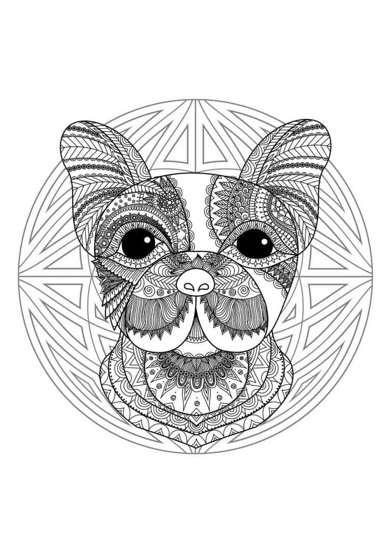 Tiere Mandala Bild ausmalbilder