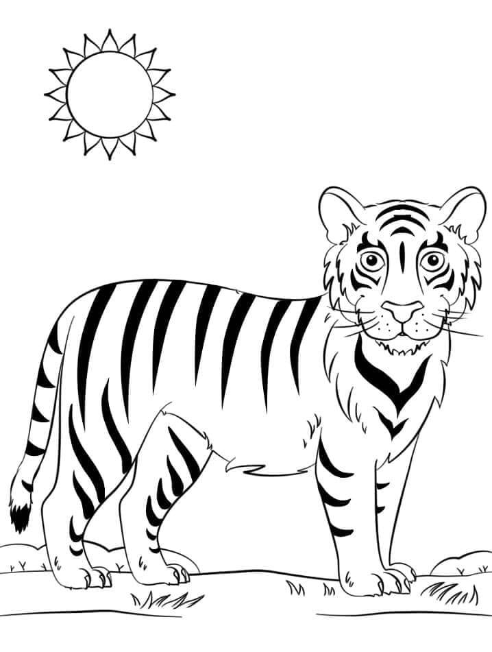 Tiger Für 1-Jährige Kinder ausmalbilder