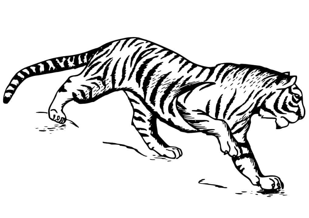 Tiger Für 3-Jährige Kinder ausmalbilder