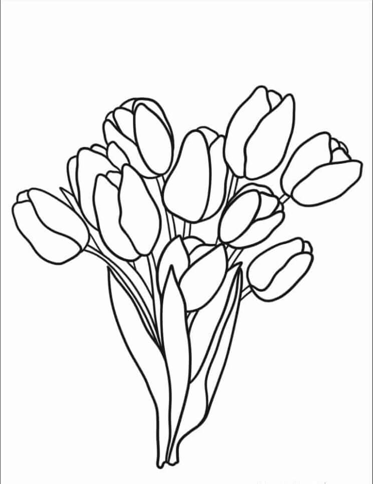 Tulpe ausdrucken ausmalbilder