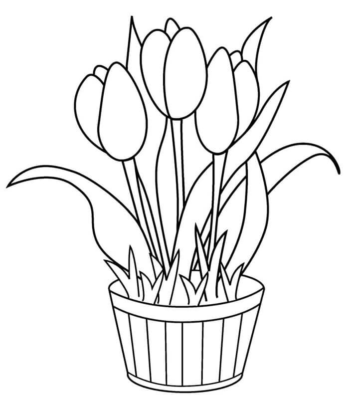 Tulpe ausmalbilder