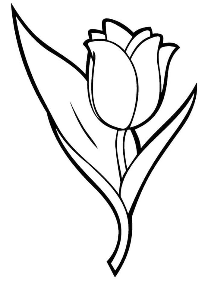 Tulpe kostenlos für Kinder ausmalbilder