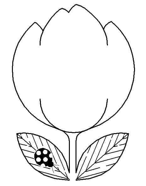 Tulpe zum Drucken ausmalbilder