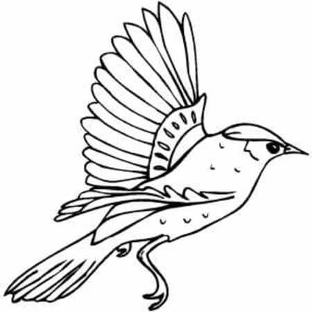 Vogel (1) ausmalbilder