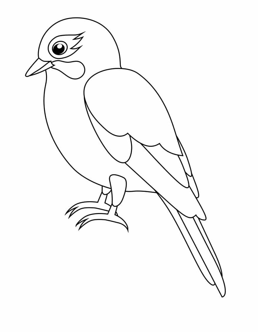 Vogel (3) ausmalbilder