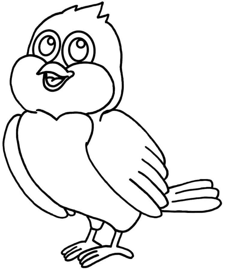 Vogel Bild ausmalbilder