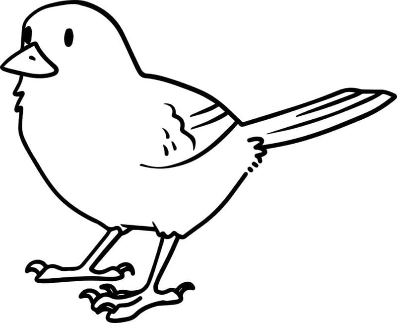Vogel Für Kinder ausmalbilder